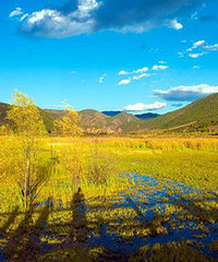 [����]�ͼ۰����������ͼ۱����Լ�Ѳ�ι���