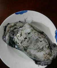 "肚中有墨的鱼__原汁墨鱼"