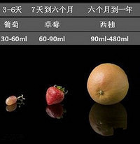 [�������ղ�]��ı���������ι������