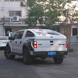这巨无霸是猛禽吧
