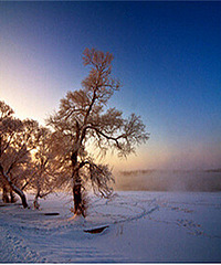 [�Ƽ�]�������ȥ���Ĺ�������10��ѩ��