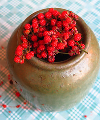 ��һ�������������