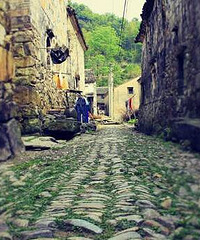 [����]�Ҵ����꣬���Ƕ������š���