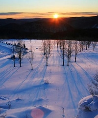 �߱������й���ֻ��8�Ż�Ʊ