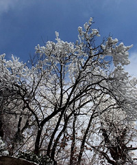 冰雪晴空 武当山