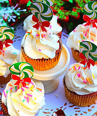 ���決�����㡿ʥ����˿�޵���