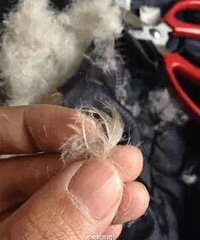 [����]�Ա����������޷������ ���ϸ���76.3%