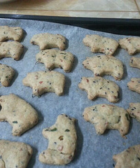 ����������㡿---�ҵ�Сţ����