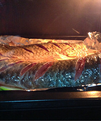 ���Ի������ġ���һ�ο��㣨����棩