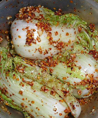 �����ˣ������˵����ײ�~