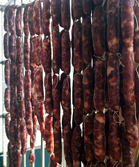 ����ƭ��ˮ��