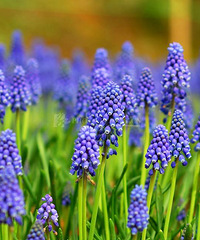 ����ʱ����˵����������ֿ�ʱ����˵�మ����