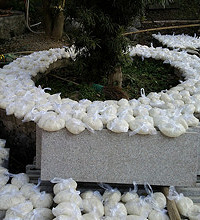 爬山见到的大场面