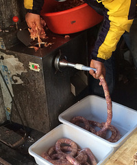 �㳦���Ǽ������