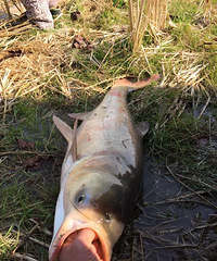 ����10��Ĵ���