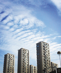 [����]̨�ݱ��ܽ����������� ���ｫ��������