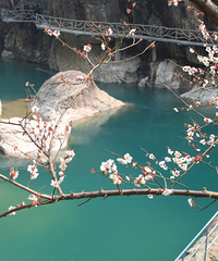 最爱那浙东大峡谷的水