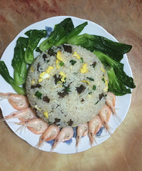 ��19¥˽����NO.1���Ѷ�ϵ�����͵ĳ���