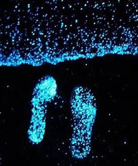 [����]�̵�ȫ����Źֵ�ʮ���ط� ���۽�