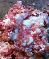 ��19¥˽���ˡ��򵥴ֱ��ı���ѧ����ô