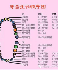 [����]�������Ҫ֪�������ڵ���Щ��