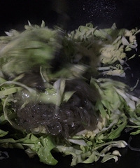 ��19¥˽���ˡ��ҳ��ˡ������Ĳ˳�����