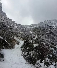 [��]��ɽ������ ��װ�ع��ġ����ϱ�����