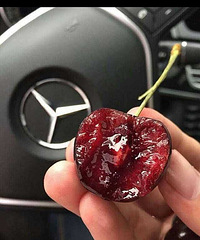 [ָ��]������� �����ȥ������Ȧ��