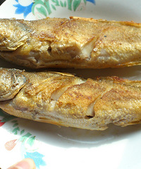 ��19¥˽����NO.1������֮��������~