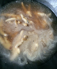 �ҳ��ˡ�������ͨͨ�ռ�צ