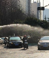 ��״��Ҫϴ���� ϴ����ļ۸񶼷��˺ü���