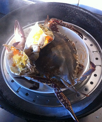 ��19¥˽���ˡ������з���⣡