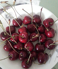 �׸��Լ������ա���ɭ��ӣ�ҵ���