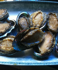 ��19¥˽���ˡ�����Ķ���