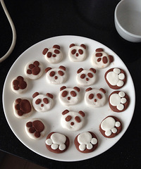 ���ȵ���è��Բ