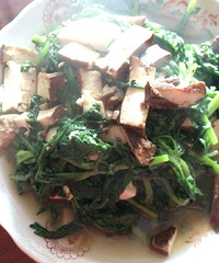 ��19¥˽���ˡ������ɳ������