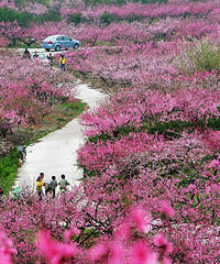 [�ٺ�����ɽ�һ���]����3��21��¡�ؿ�Ļ