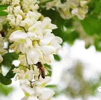 ���쵽�ˣ�����������Ұ���ˣ���Щ����Щ���Ƕ���Ұζ��