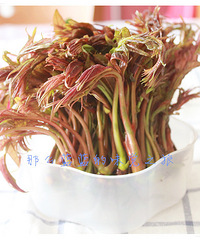 ��19¥˽���ˡ����ô����ζ��֮�㴻������