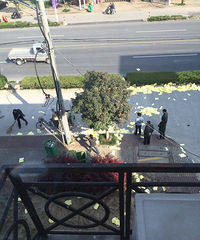 ������Ժ���� �ǹ���һ��