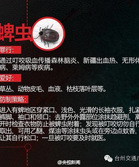 [��ɢ]̤��С����棡�������������