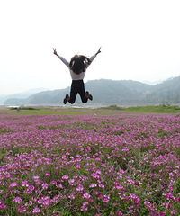 别人看桃花、樱花、油菜花,我来看紫云英(草花)