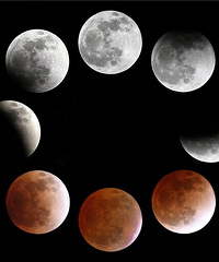 [4��4����ȫʳ]�����͵����������߸߹ҡ�