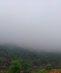 浓雾中游温岭上堡山