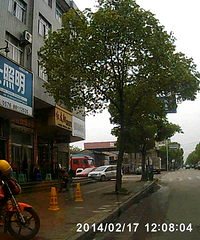 6���Ĵ������������۸���