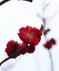 扬州瘦西湖自助游