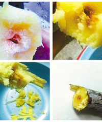 [����]�������ᣬ�����ߡ� �������