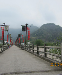 奔跑吧,春天!走进淡竹原始森林