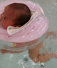 [����]ĸ��ι���ı��� �������Ͳ���ˮ