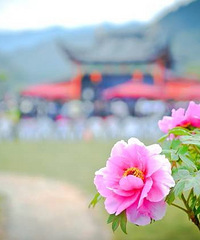 [��]��ʱ��ȥ�������ɾ�ĵ������